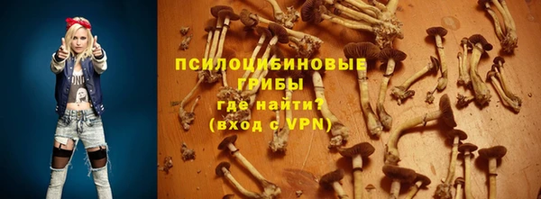 твердый Балахна