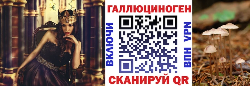 купить наркотик  Городище  Псилоцибиновые грибы Magic Shrooms 